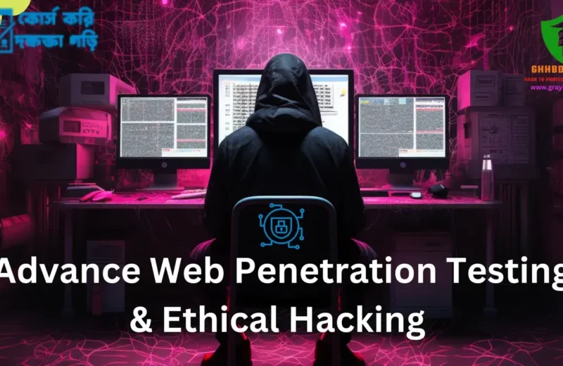 Best Web Hacking and Penetration Testing Courses